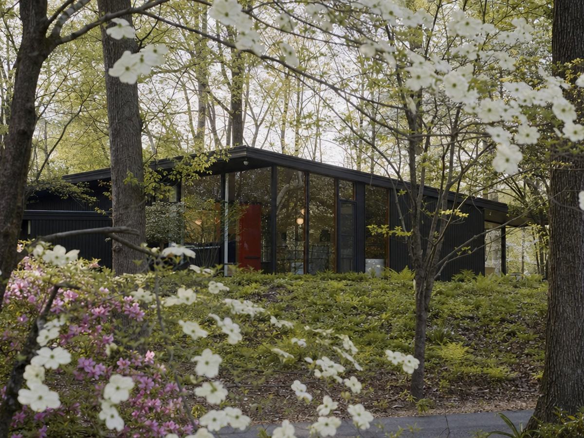 A low mid-century modern house with glass walls seen through blooming dogwoods and azaleas on a wooded hillside.