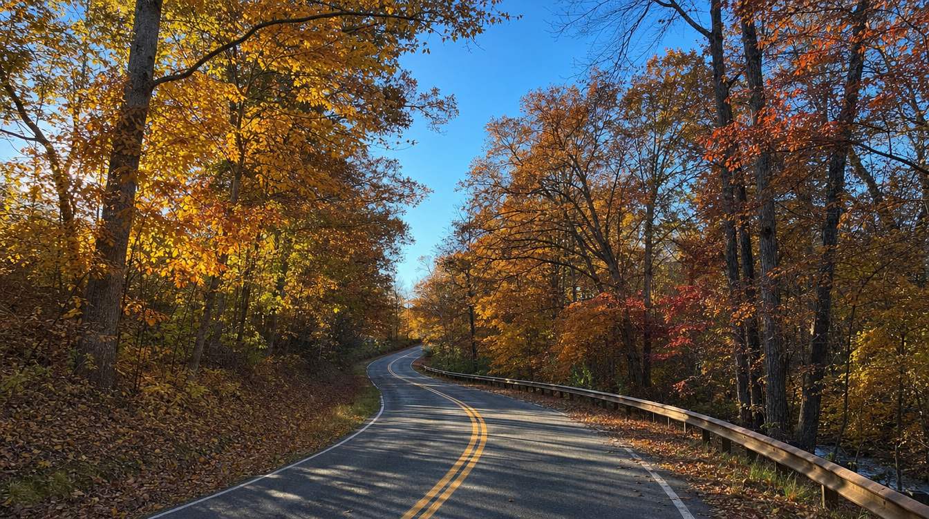 Fairfax Station Road winding through gold and orange woods in the fall, a two-lane road with a double yellow line, leaves on the shoulders and a guardrail along a creek at the right