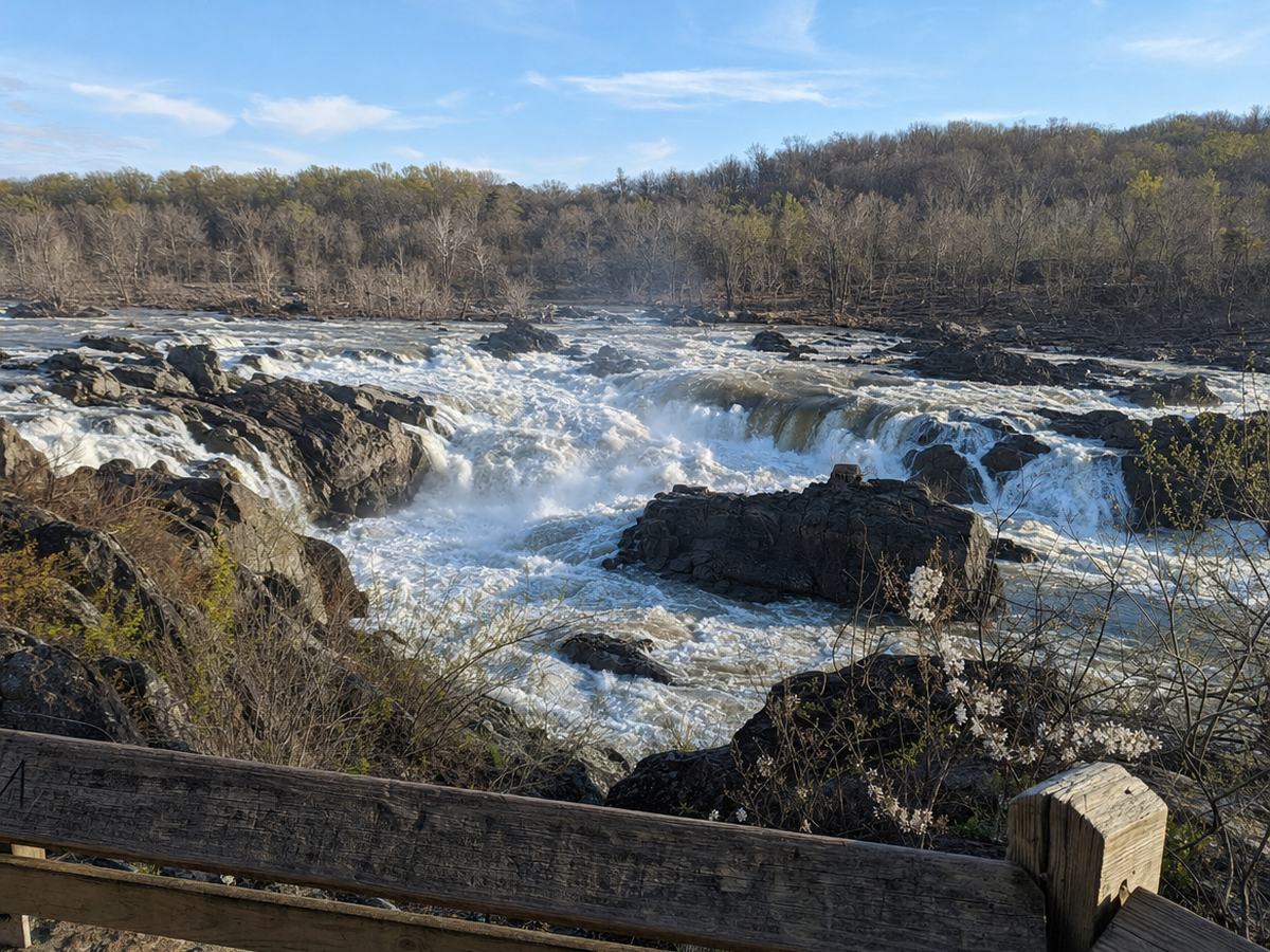 White water of the Potomac rushing over jagged dark rocks seen past a weathered wooden overlook rail, with bare early-spring woods on the far bank.