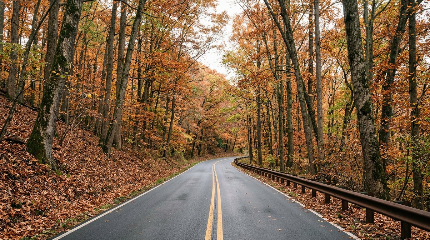 Concept image of Georgetown Pike curving through orange and gold fall woods in Great Falls, Virginia